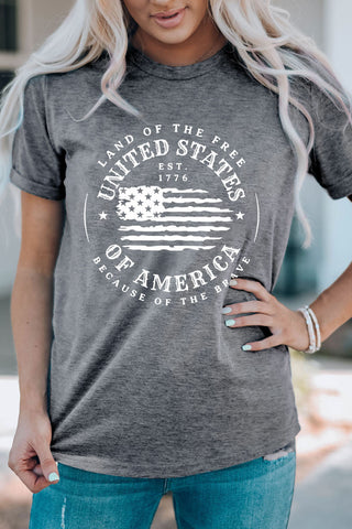 US Flag Graphic Short Sleeve Tee